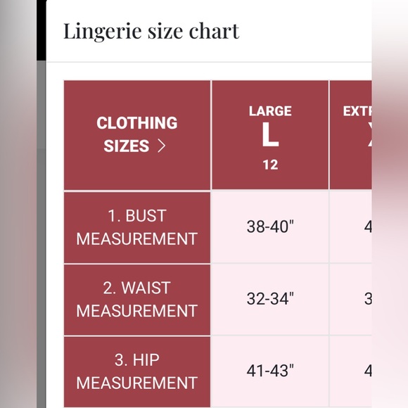 La Vie en Rose Sheer Tulle Babydoll L - Picture 6 of 6